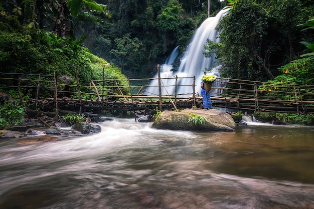 Foto a relação entre o humano e a natureza.