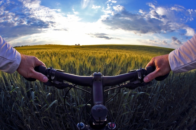 A roda do ciclista closeup no contexto de um campo de trigo à luz do sol