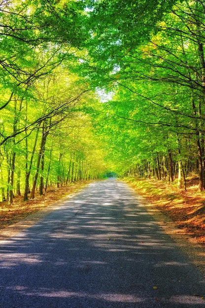 A rota cênica Uma bela estrada cênica