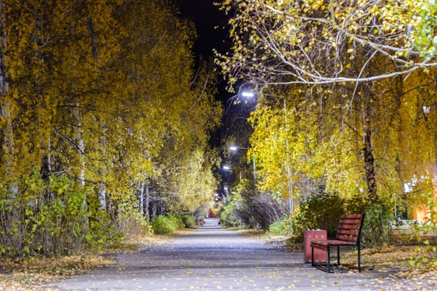 A rua noturna no outono com caminhos repletos de folhas amarelas caídas e lanternas noturnas. Paisagem da noite de outono.
