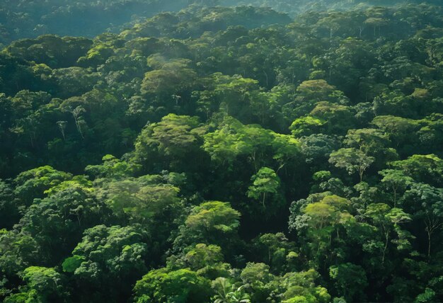 Foto a selva verde da amazônia