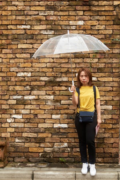 A senhora bonita atrativa prende um guarda-chuva.