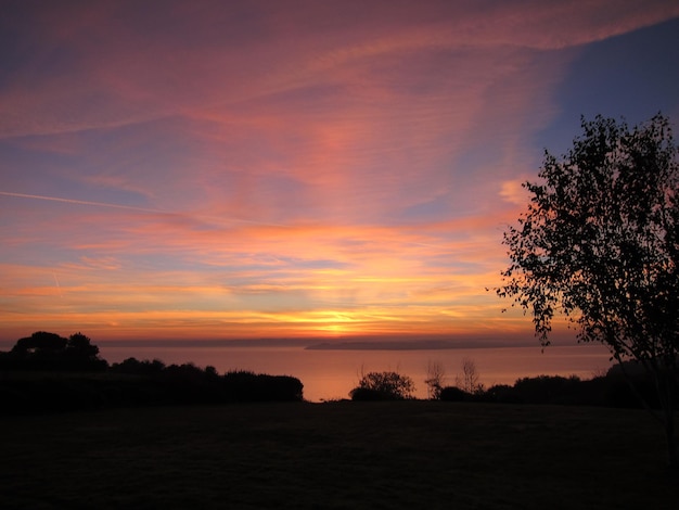 A silhueta da árvore ao nascer do sol