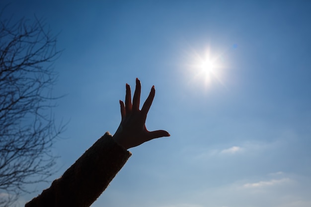 A silhueta de uma mão feminina contra um céu azul e um sol forte