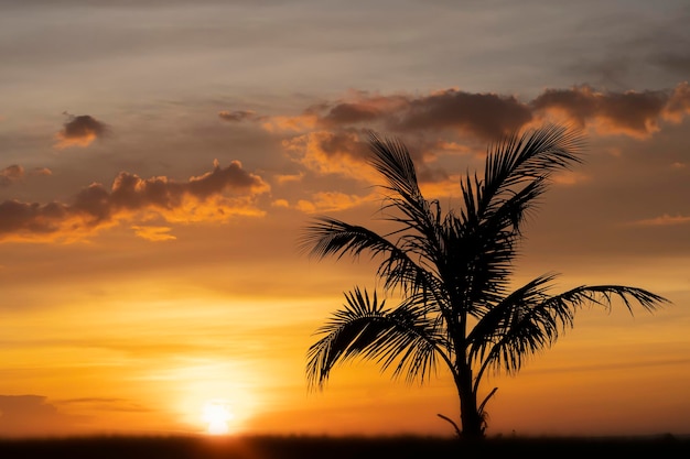 A silhueta de uma palmeira solitária no contexto de um fabuloso pôr do sol tropical laranja em uma ilha deserta, os turistas sonham com a solidão de relaxamento e uma fabulosa férias paradisíacas