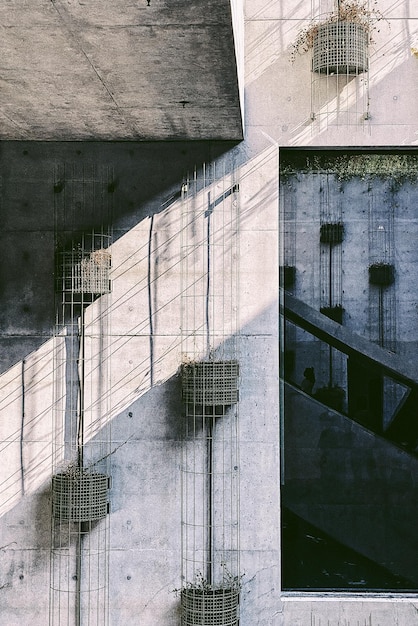 Foto a sombra e a luz