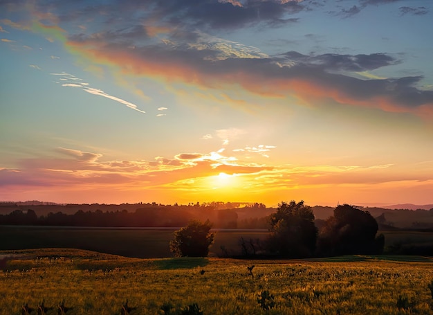 a_sunset_in_a_field_with_a_sunset