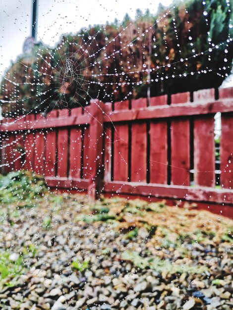 Foto a teia de aranha molhada pelo corrimão durante a estação chuvosa