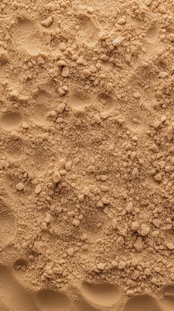 A textura da areia com as pegadas de um cachorro.