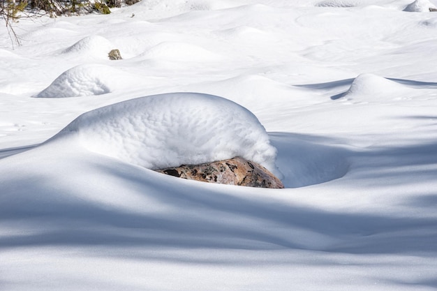A textura da neve Neve fofa cobrindo as pedras belas sombras O fundo do inverno ártico