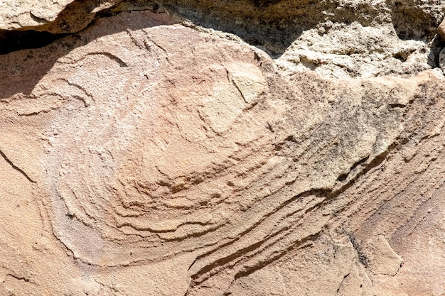 A textura da pedra de arenito com grãos e irregularidades sob luz solar intensa é interessante para geólogos