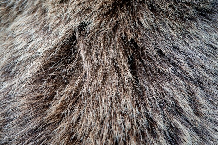 Foto a textura da pele de um urso. pele de um animal selvagem.