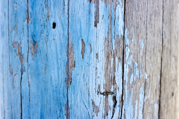 A textura da velha madeira rachada com tinta azul meio descascada Fundo aproximado para o design