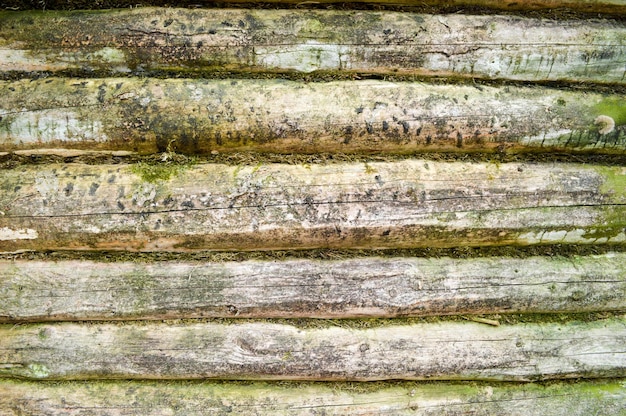 A textura da velha parede arborizada de troncos lançada por musgo verde uma cerca de horizontal dilapidada