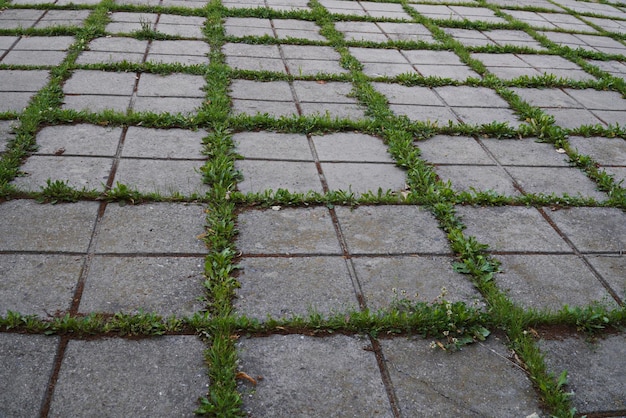 A textura das lajes de pedra e a grama crescendo entre elas