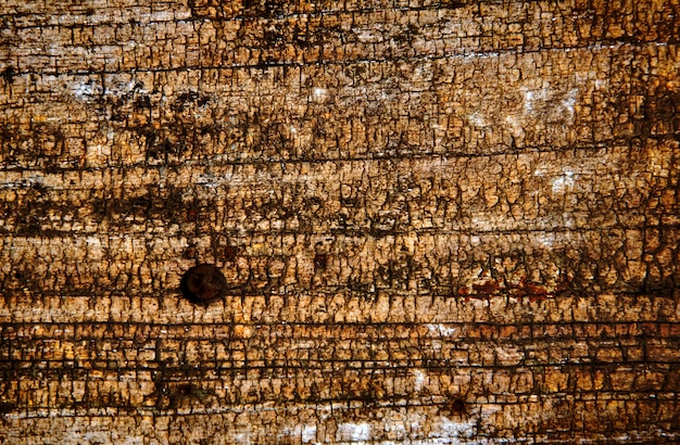 a textura de madeira marrom com padrões naturais