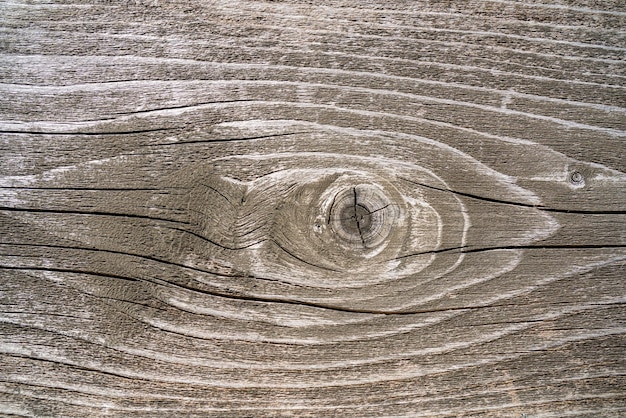 A textura de uma velha árvore em decomposição fundo de madeira