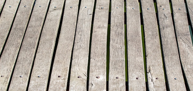 A textura de velhas placas cinza, um espaço em branco para design_