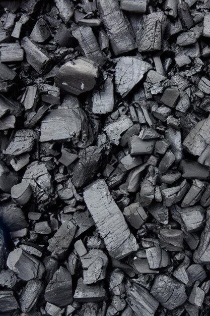 A textura do carvão conta a história dos antigos processos geológicos da Terra