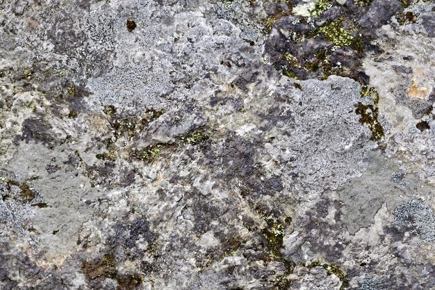 A textura do granito cinza de pedra natural intercalada com musgo e grama