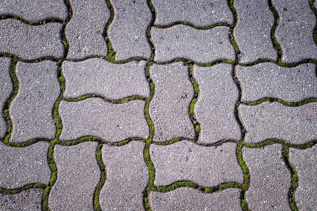 A textura do ladrilho pavimentado no fundo da rua Tijolo de cimento quadrado fundo de pedra