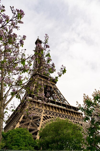 A Torre Effiel cercada por árvores floridas na primavera em Paris França