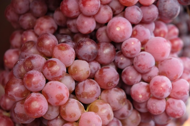 A uva é uma fruta, botanicamente uma baga, das videiras lenhosas decíduas da planta com flores Vitis.