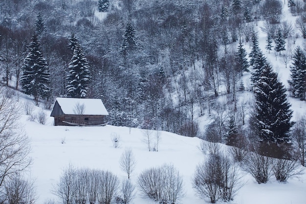 A velha casa de madeira na floresta de neve