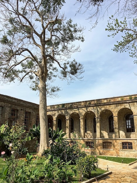 Foto a velha natureza de construção abandonada cresce de volta tijolo