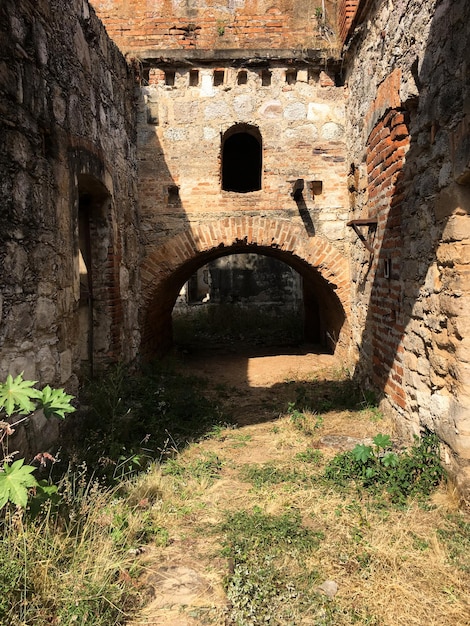 A velha natureza de construção abandonada cresce de volta tijolo