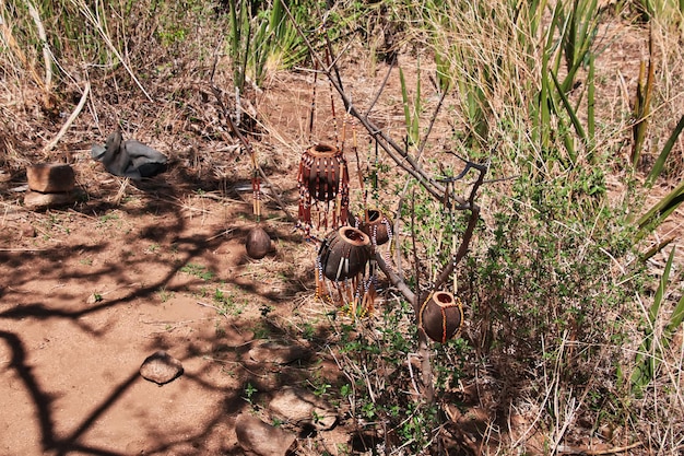 Foto a vida dos bosquimanos na áfrica