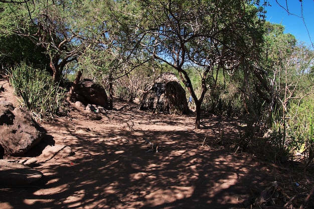 Foto a vida dos bosquimanos na áfrica