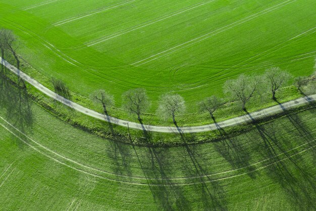 A vista aérea em uma estrada de asfalto separava dois campos cultivados.