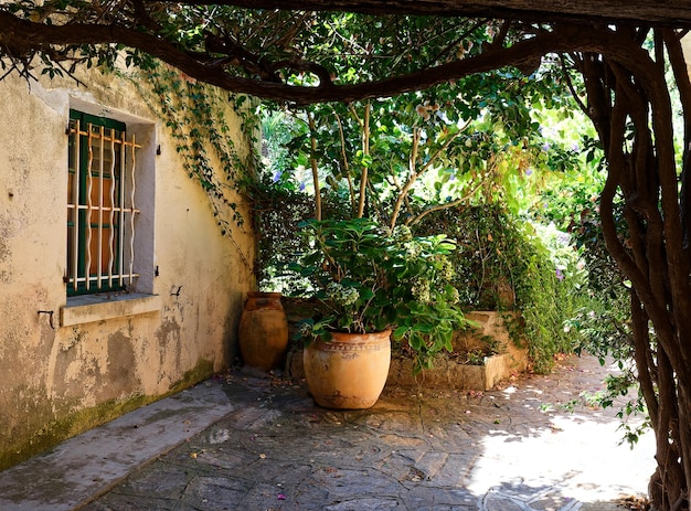 A vista da bela vila no sul da França Bormes les mimosa village