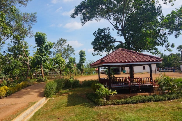 A vista do Parque Gasibu é perfeita para um passeio relaxante em família