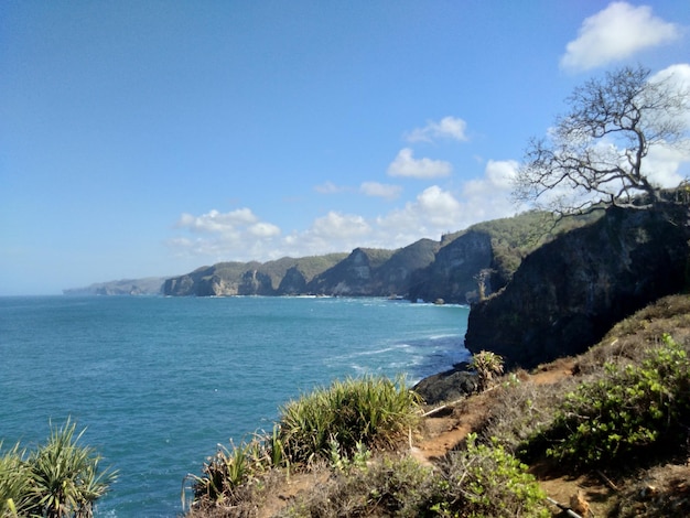 A vista do topo da falésia e o mar azul