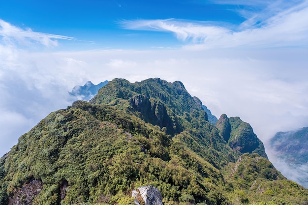 A vista do topo da montanha Fansipan na cordilheira Sapa Hoang Lien Son Os picos das montanhas rochosas emergem através das nuvens enevoadas em Lao Cai Vista aérea panorâmica Voe sobre nuvens ou neblina