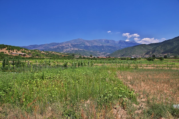 A vista nas montanhas da Bulgária