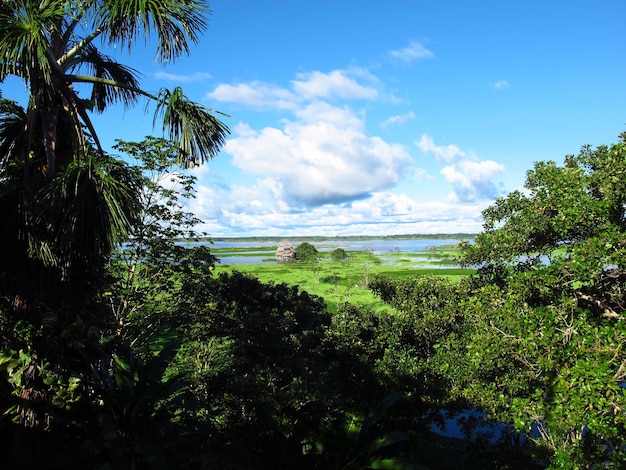 A vista no rio amazonas em iquitos peru