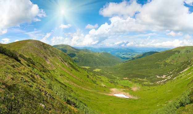 A vista panorâmica do prado da montanha do verão com a floresta de zimbro e a neve permanece no cume à distância. três tiros costuram a imagem.