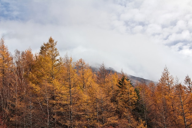 A vista sobre o parque nacional Fuji no outono, Japão