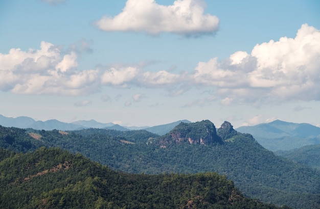 a vista tranquila da floresta tropical em uma alta cordilheira com a nuvem do ponto de vista.