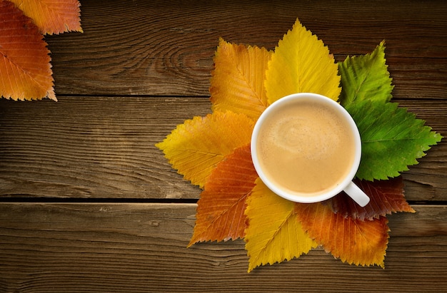 A xícara de café com o outono outono deixa a composição em fundo de madeira