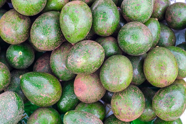 Foto abacate tropical fresco perto bom para o fundo