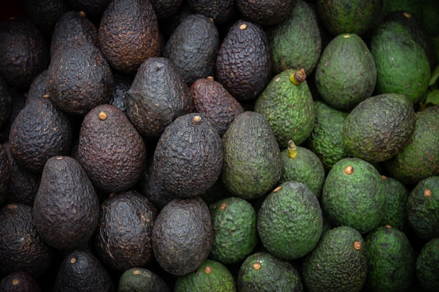 Abacate verde fresco no mercado