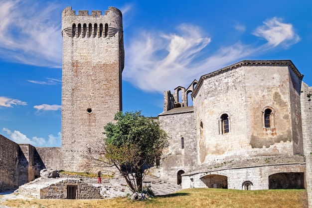 La Abadía de Montmajour cerca de Arles Francia antiguo monasterio fortificado medieval ahora monumento histórico