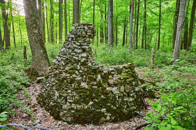 Abandonada cabaña de ladrillo en descomposición musgo en piedra cubierto de vegetación perdido en los bosques del bosque