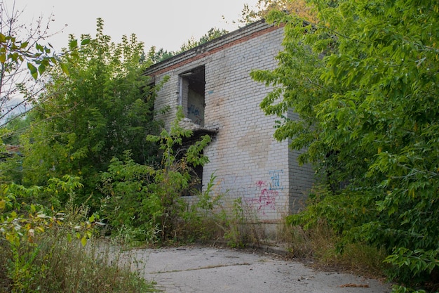 Abandonado edificio de ladrillo antiguo en ruinas vidrios rotos de marcos de madera con suelo cubierto de hierba