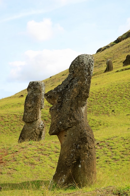 Abandonado enormes estatuas de Moai en el volcán Rano Raraku, Isla de Pascua, Chile