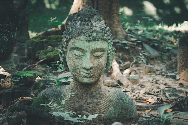 Abandonar escultura de Buda quebrada no templo